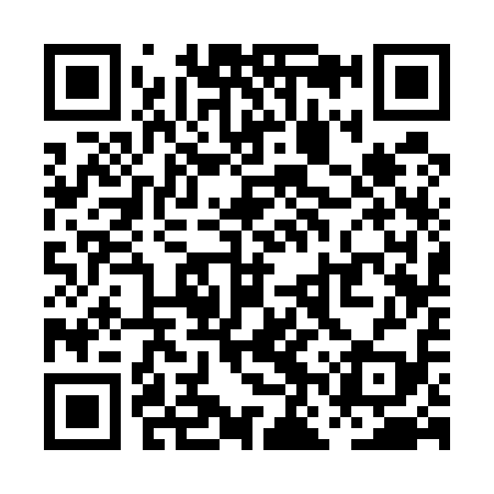 QR code for PNS519