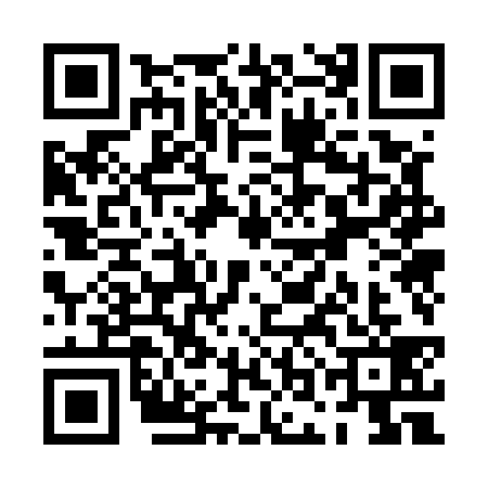 QR code for POO5393
