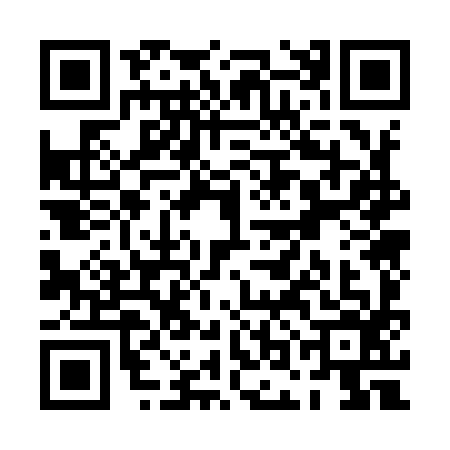QR code for POO9962