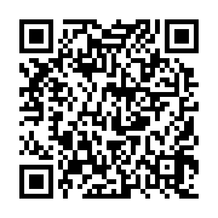 QR code for PPA318