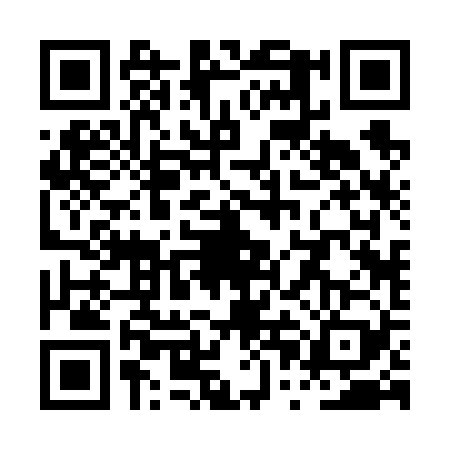 QR code for PPB6296