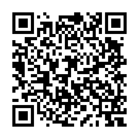 QR code for PPK493