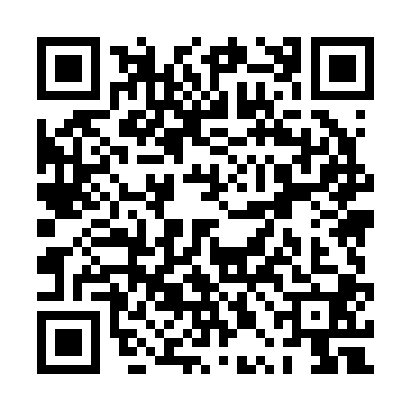 QR code for PPM2006