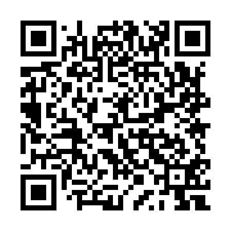 QR code for PPM911
