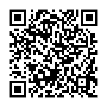 QR code for PPP298