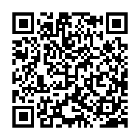 QR code for PPP370
