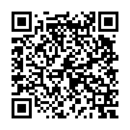 QR code for PPP460