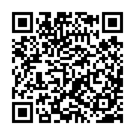 QR code for PPP685