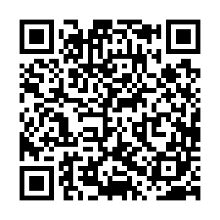 QR code for PPP740