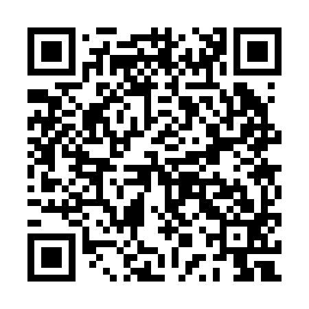 QR code for PPS293