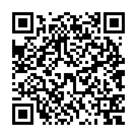 QR code for PPT2317