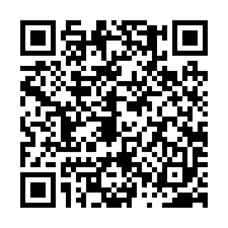 QR code for PPT2938