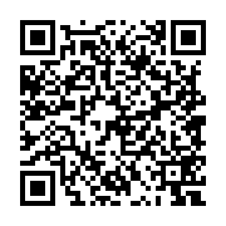 QR code for PPT9599