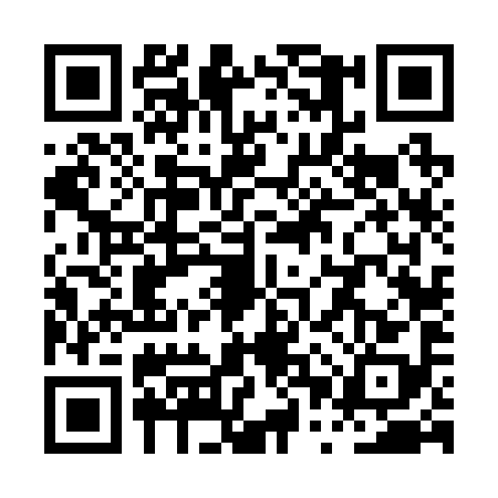 QR code for PPV2987