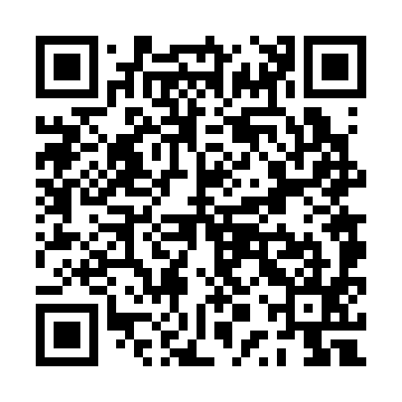 QR code for PPV395