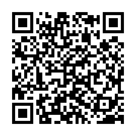 QR code for PPZ539