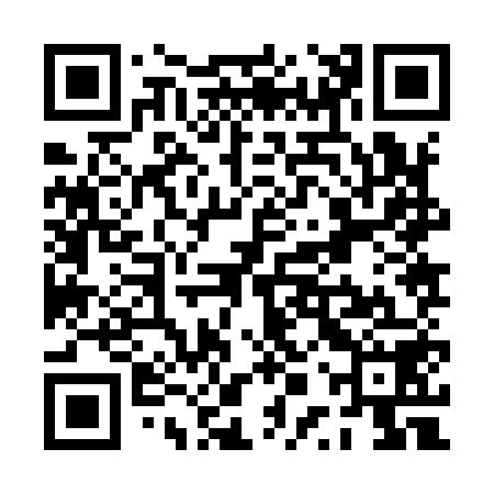QR code for PPZ958