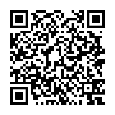 QR code for PQM0393