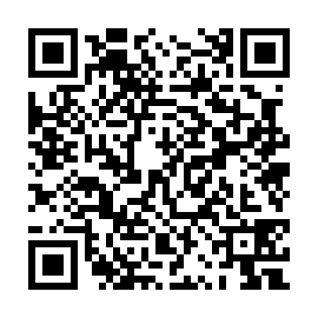 QR code for PRO0380