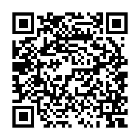 QR code for PSN2452
