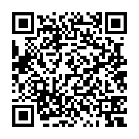 QR code for PUB0381