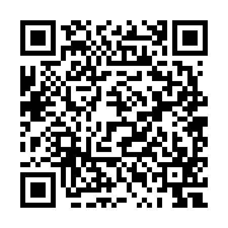 QR code for PUB6971