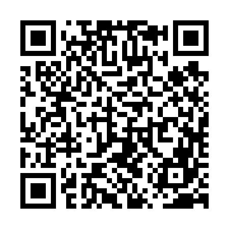 QR code for PUR666