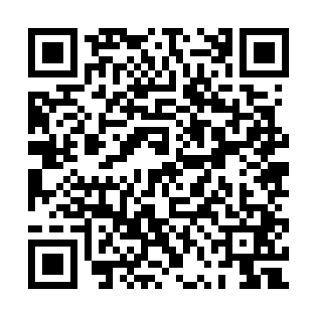 QR code for PVJ7419