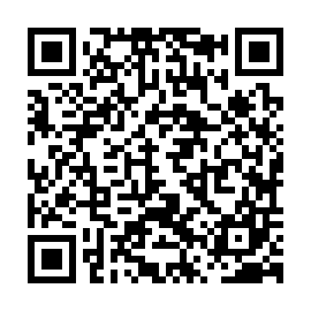 QR code for PVZ307