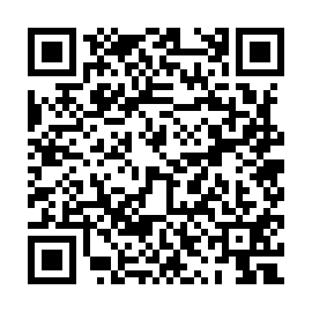 QR code for PYG9113