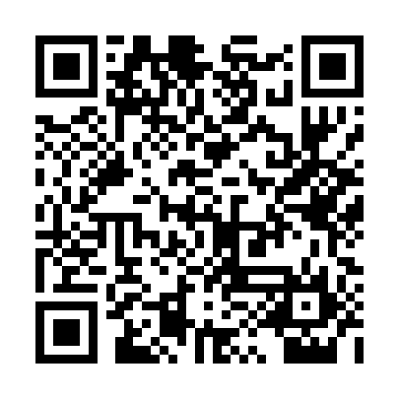 QR code for PYO096
