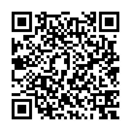 QR code for PYP0385