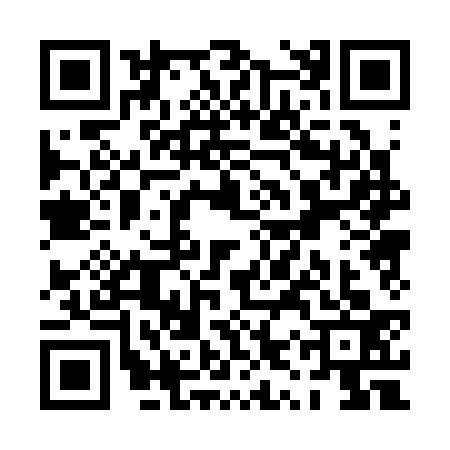 QR code for PYP3336