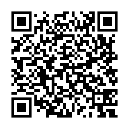 QR code for PZG938