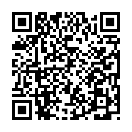 QR code for PZI4991