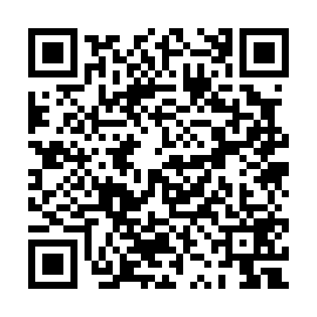QR code for PZK0593