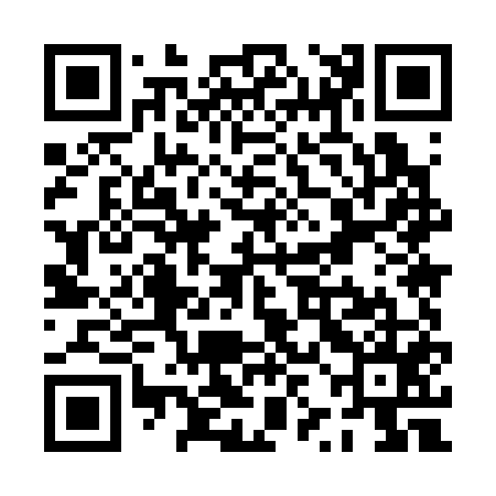 QR code for PZM355