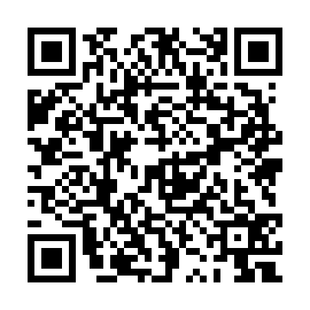 QR code for PZM6368