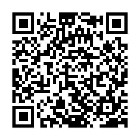 QR code for PZN334
