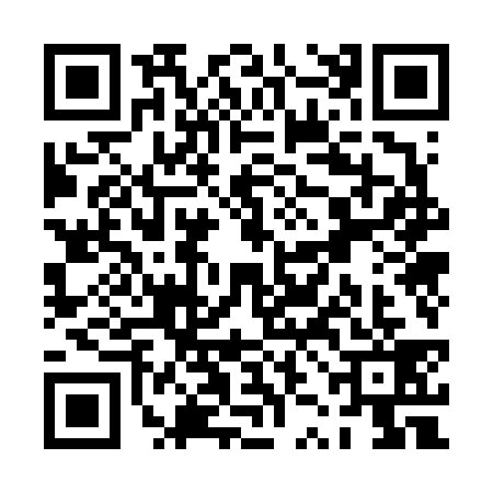 QR code for PZO6390