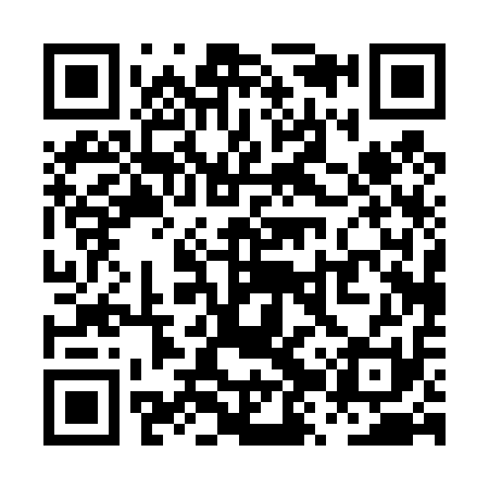 QR code for PZP411
