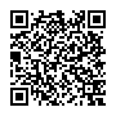 QR code for PZQ579