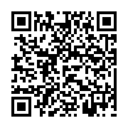 QR code for PZR995