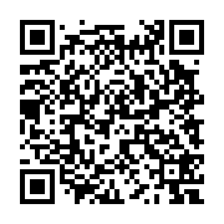 QR code for PZT028
