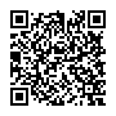 QR code for PZT877