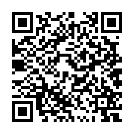 QR code for PZV0273