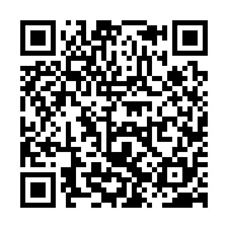 QR code for PZV315