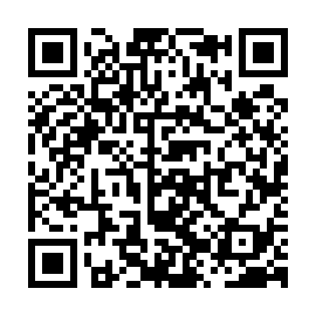 QR code for PZV539