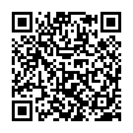 QR code for PZZ010