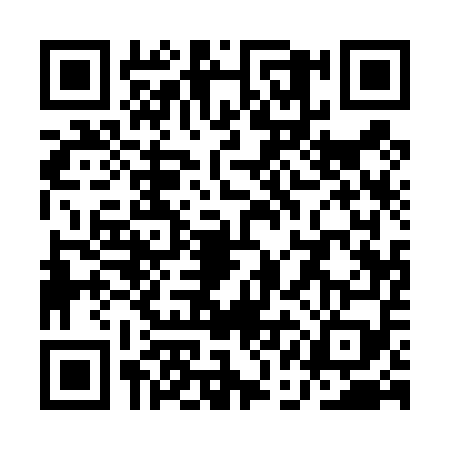 QR code for QAA4595